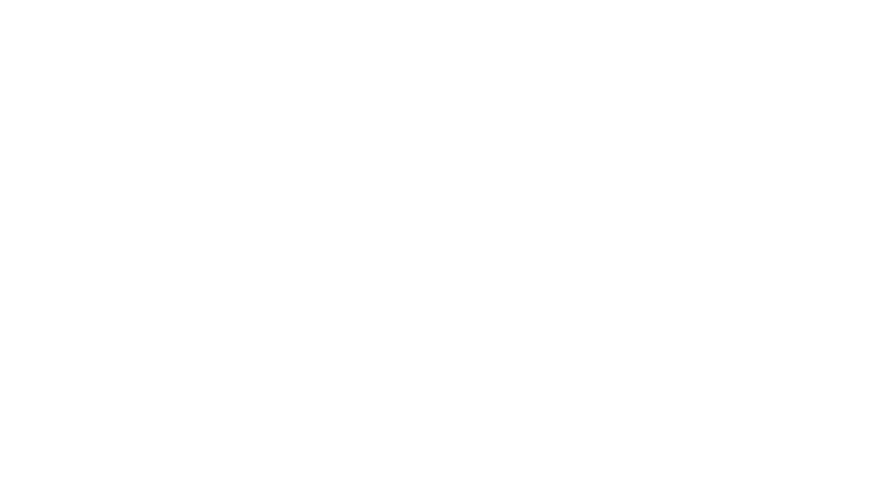 Detaliu tiekimas